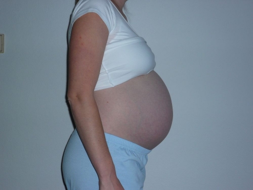 obrázek 36. týden těhotenství